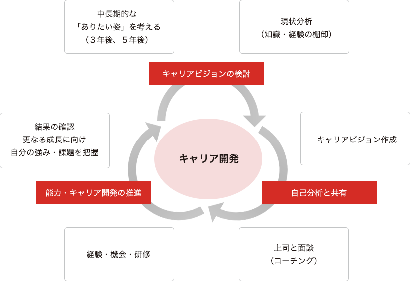 キャリア開発の図